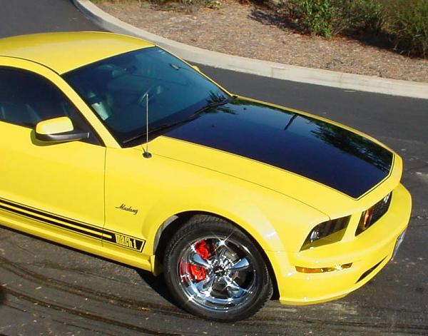 Painted Calipers on Yellow Stang Poll-dsc00034a.jpg