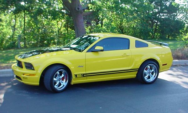 Painted Calipers on Yellow Stang Poll-dsc00019b.jpg