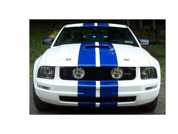 Looking for a Grill / Grille-shelby-look-edit.jpg