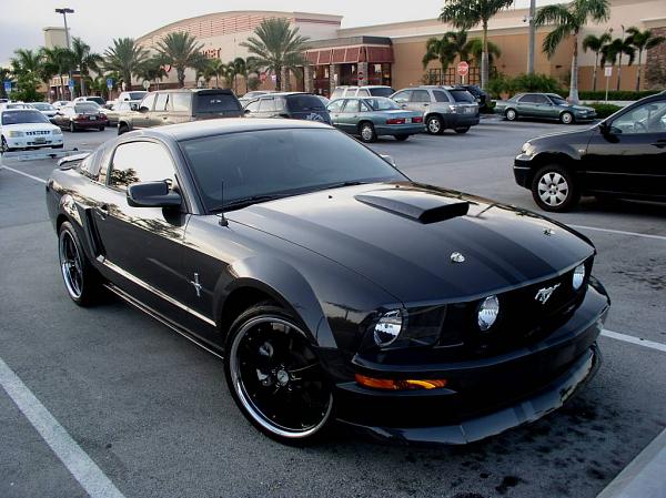 New Pics-091407-1.jpg