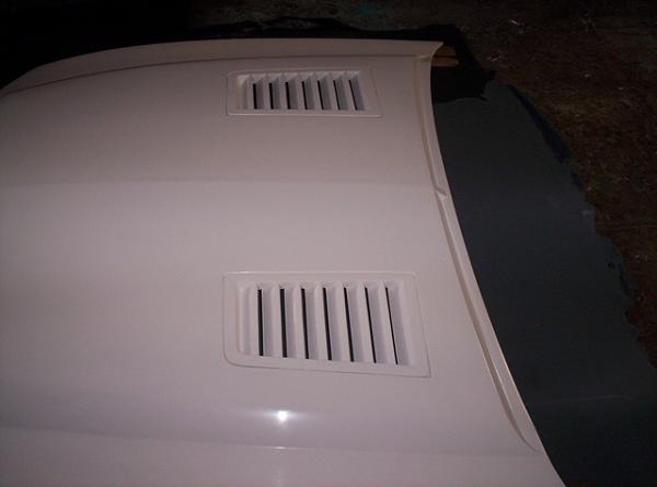 TRUFIBER HOODS for Those with GT500 front Fascia!-venom-rear-resize.jpg