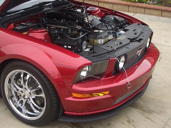 Trufiber Gts2-side.jpg