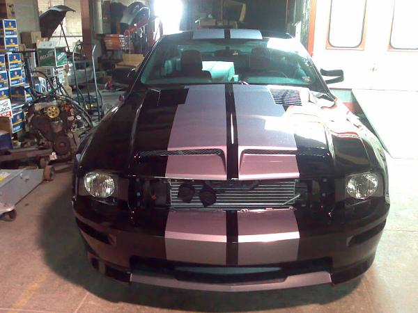 yao's GTS-1 trufiber and stripes-yao_stang_bodyshop1.jpg