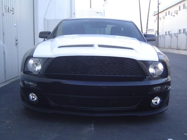 TRUFIBER HOODS for Those with GT500 front Fascia!-venom-1.jpg