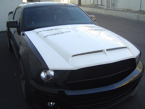 TRUFIBER HOODS for Those with GT500 front Fascia!-venom2.jpg