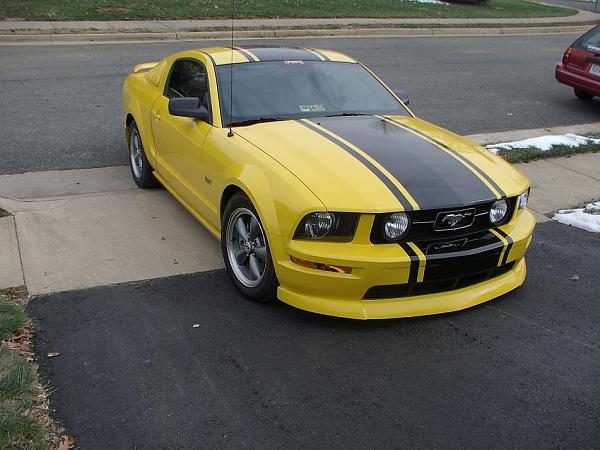 SuperStripe Pics-more-picture-009.jpg