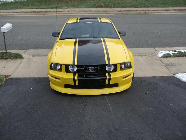 SuperStripe Pics-more-picture-011.jpg