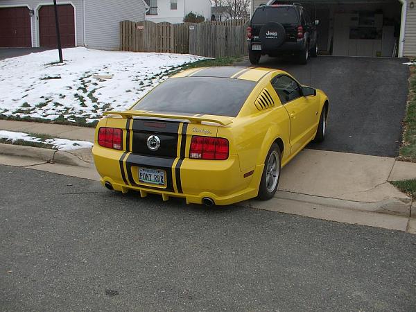 SuperStripe Pics-more-picture-014.jpg