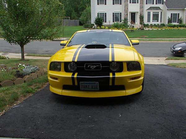 Vinyl stripe question-new-scoop-6.jpg