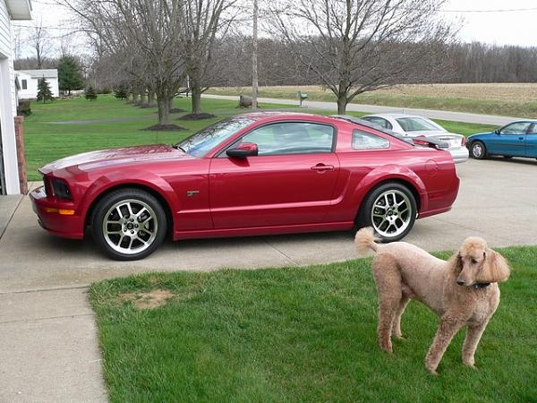 Help me pic some wheels-mini-p1070869.jpg