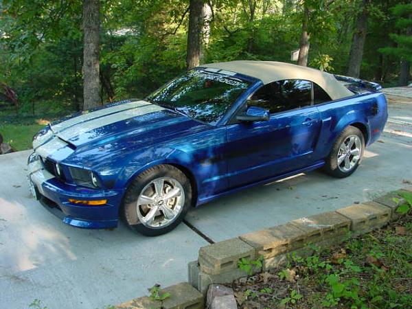 Favorite Hood/Aftermarket Hood our right now?-mustang-returned-9-15-07-004.jpg