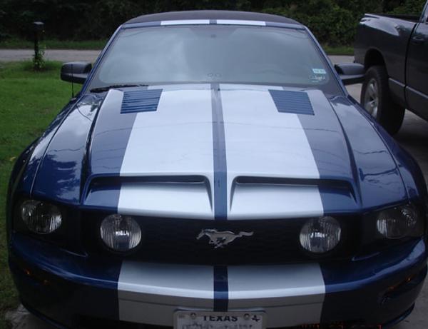 Favorite Hood/Aftermarket Hood our right now?-gts05pic1.jpg