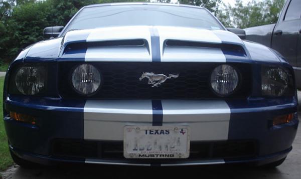 Favorite Hood/Aftermarket Hood our right now?-gts05pic2.jpg