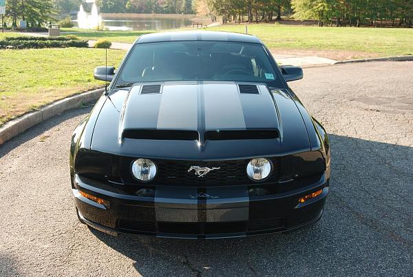 Krhood And Stripes Pics !-mustang-003.jpg