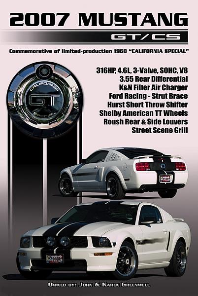 How about these stripes!-16x24gtcs2.jpg