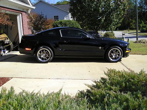 Any black Stangs have chrome GT4 or CT-R wheels?-pb120002.jpg