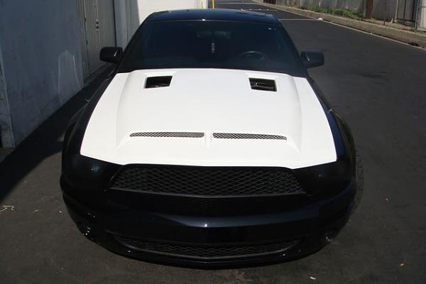 TRUFIBER HOODS for Those with GT500 front Fascia!-dsc00530.jpg