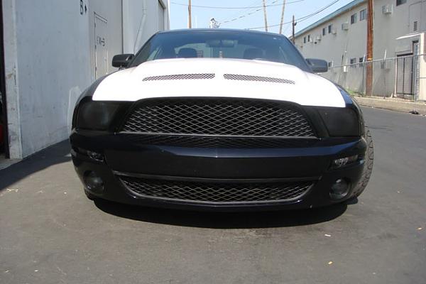 TRUFIBER HOODS for Those with GT500 front Fascia!-dsc00534.jpg