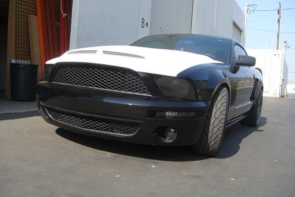 TRUFIBER HOODS for Those with GT500 front Fascia!-dsc00547.jpg