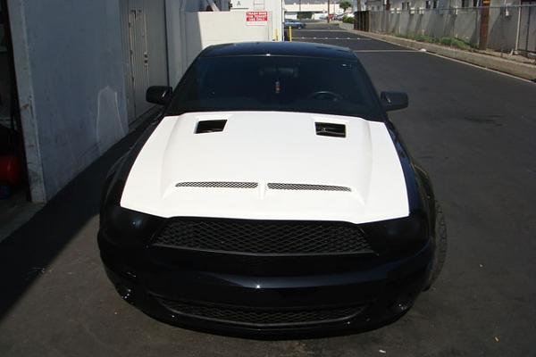 TRUFIBER HOODS for Those with GT500 front Fascia!-dsc00553.jpg