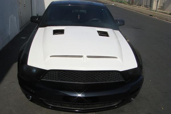 TRUFIBER HOODS for Those with GT500 front Fascia!-dsc00560.jpg