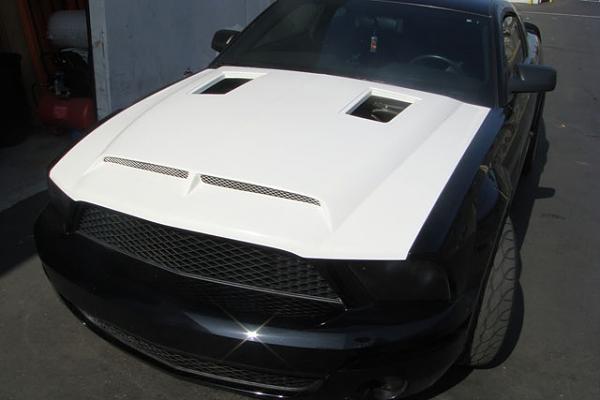 TRUFIBER HOODS for Those with GT500 front Fascia!-dsc00569.jpg