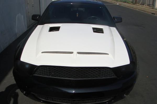 TRUFIBER HOODS for Those with GT500 front Fascia!-dsc00571.jpg