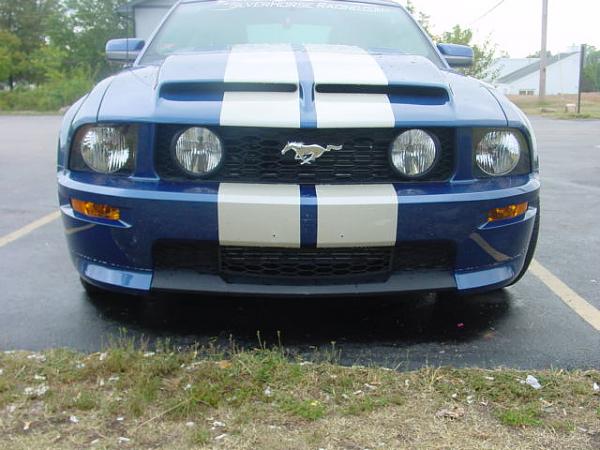 Krhood And Stripes Pics !-welts-020.jpg