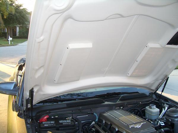 Trufiber Gts2-cimg2229.jpg