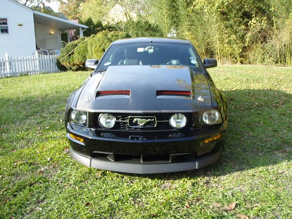 SHR Radiator Grill Insert !-pb110045_01.jpg