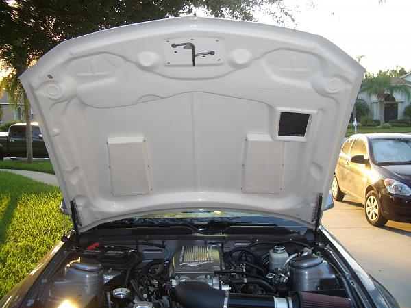 Looking for underside pics of all fibergalss hoods-cimg2226.jpg