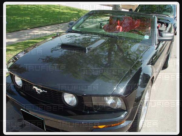 Does Anyone Have The Cobra Roadster Ram Air Hood Installed?-roadster_4.jpeg