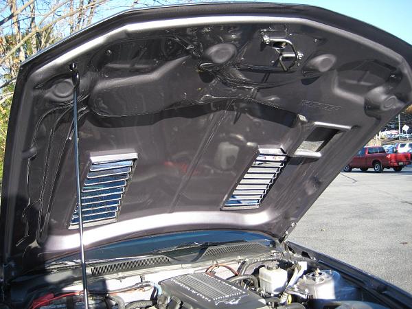 Trufiber Gts2-img_0141.jpg