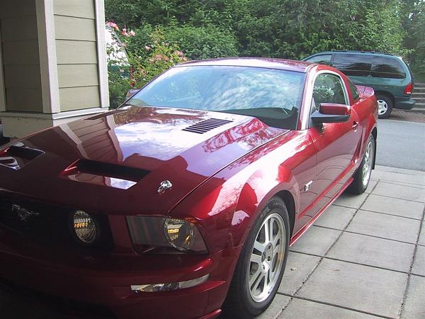 Trufiber Gts2-hood-spoiler-014.jpg