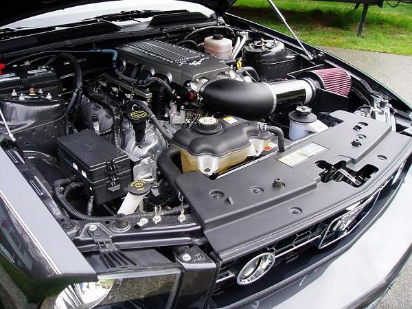 will a v6 grill fit a gt bumper-pb140005b.jpg