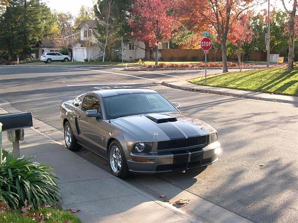 S-197 2005-2009 Fit Mustang Bullitt Grille Installed. PICS With Link To Purchase!-picture-172.jpg