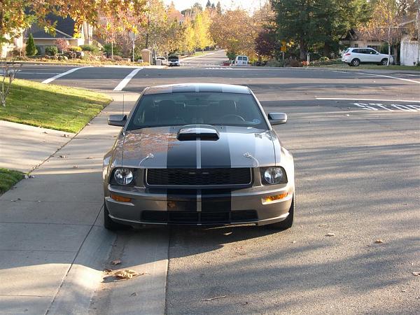 S-197 2005-2009 Fit Mustang Bullitt Grille Installed. PICS With Link To Purchase!-picture-173.jpg