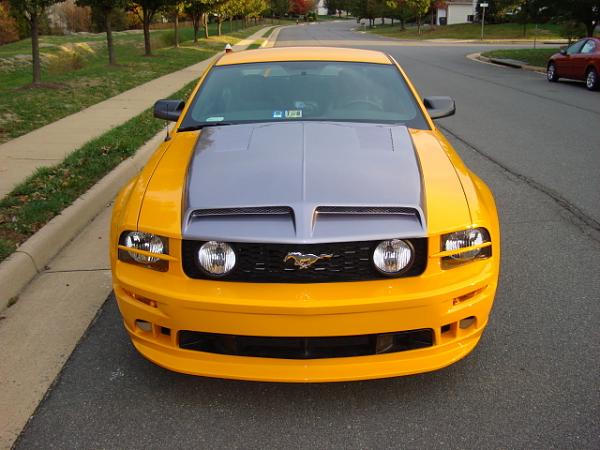 Trufiber Gts2-dsc00107.jpg