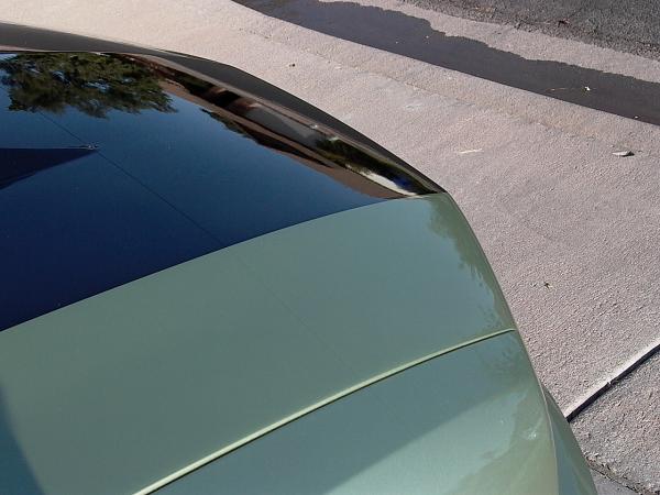 ANYONE should I do a Clear Bra on the Car?????-p1010476.jpg