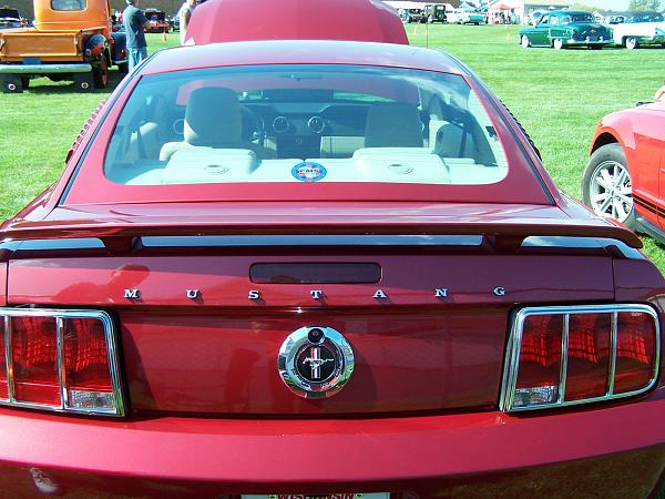 Show me your trunk letters and spacing-straight.jpg