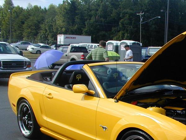 Agent 47 Mirrors installed -----p9220097-2.jpg