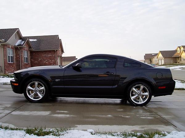 First pics posted-1.jpg