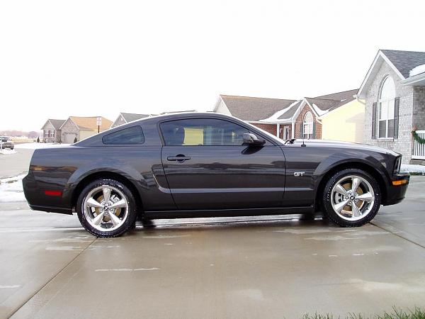 First pics posted-2.jpg