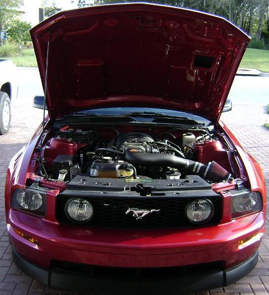 Trufiber Gts2-tms3.jpg