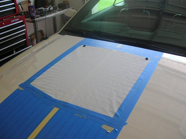 Show me your shakers-dscn3464.jpg