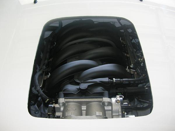 Show me your shakers-dscn3470.jpg