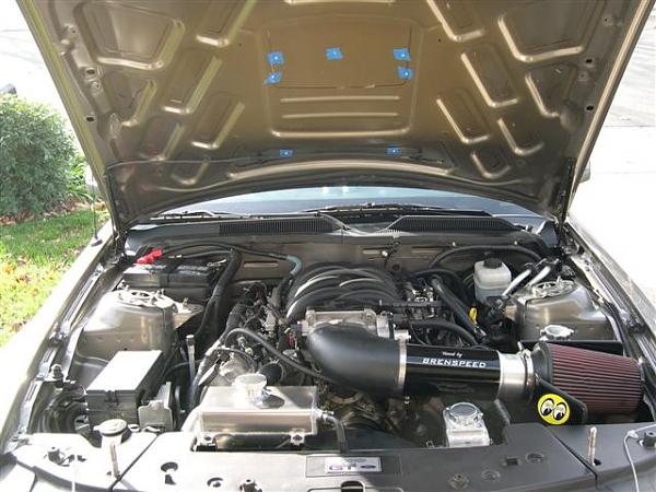 Show me your shakers-picture-003-small-.jpg