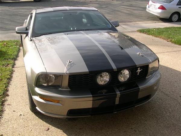 Show me your shakers-picture-004-small-.jpg