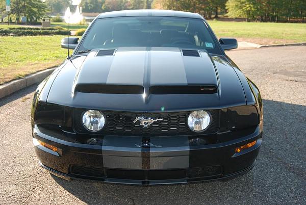 Let's see your aftermarket hood-mustang-009.jpg
