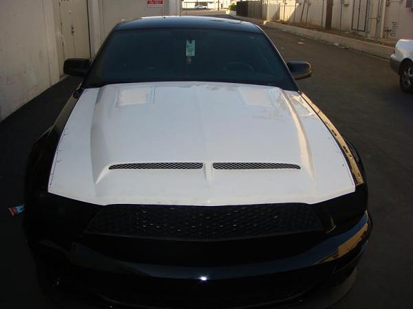 TRUFIBER HOODS for Those with GT500 front Fascia!-a53-1-.jpg